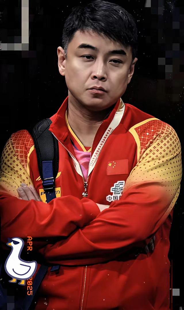 开云-包含奥地利队力克法国队，王皓高光表现的词条